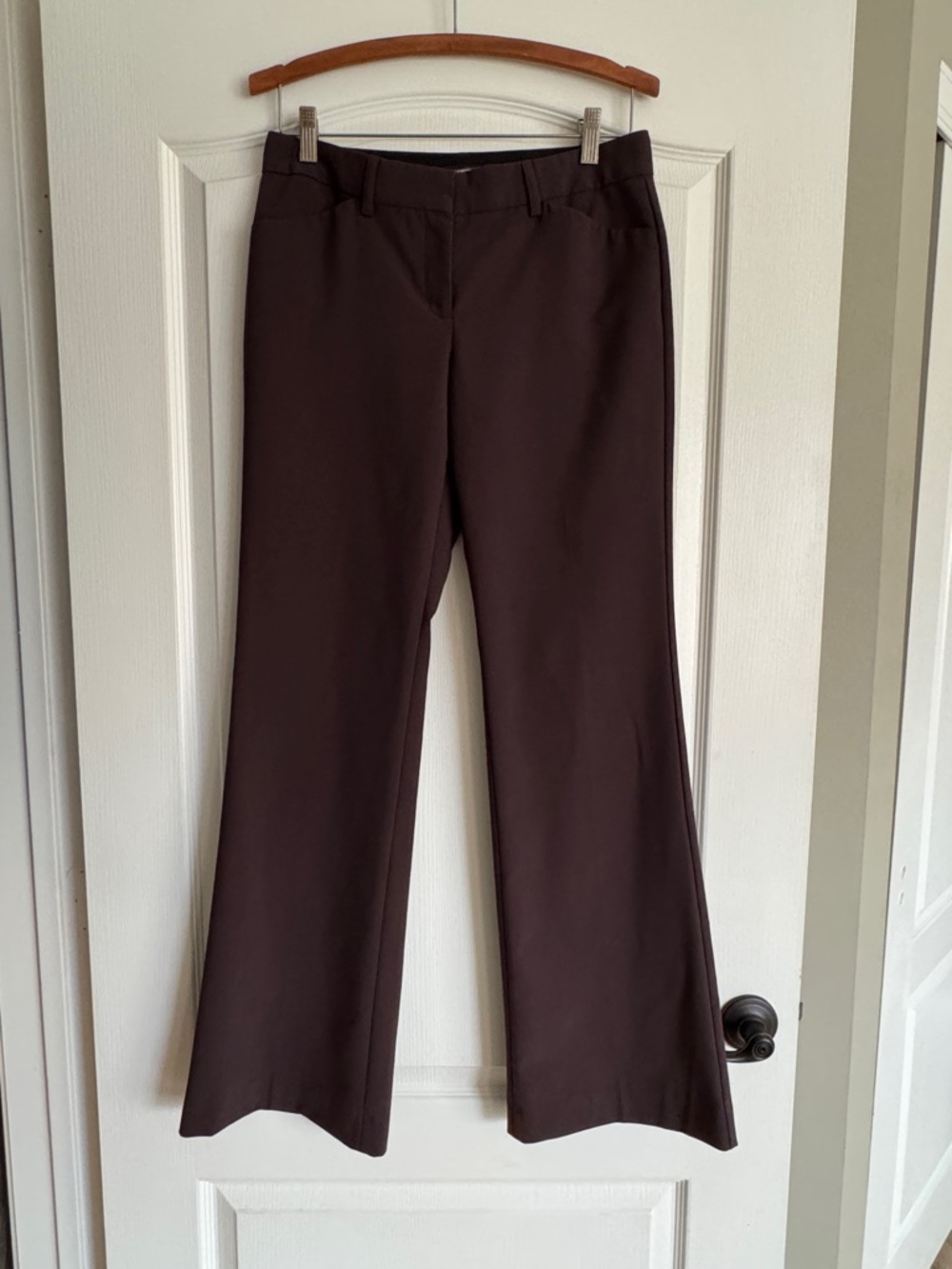 Express - Editor- Women's Brown Dress Pants - Flared Work Trousers